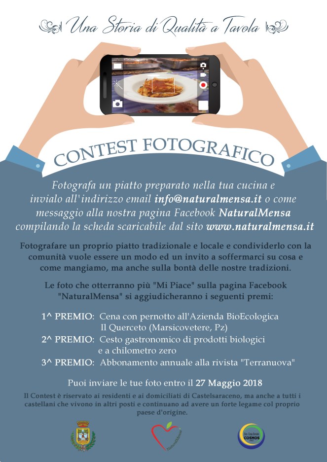 contest3 WEB