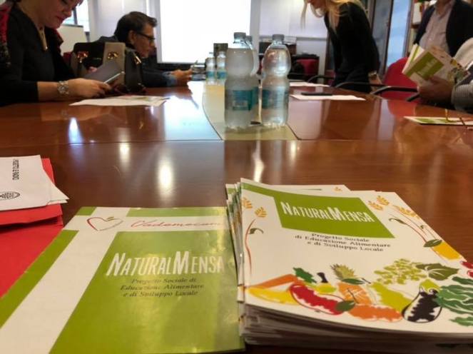 43538284_2170019056544174_2318217557317779456_n