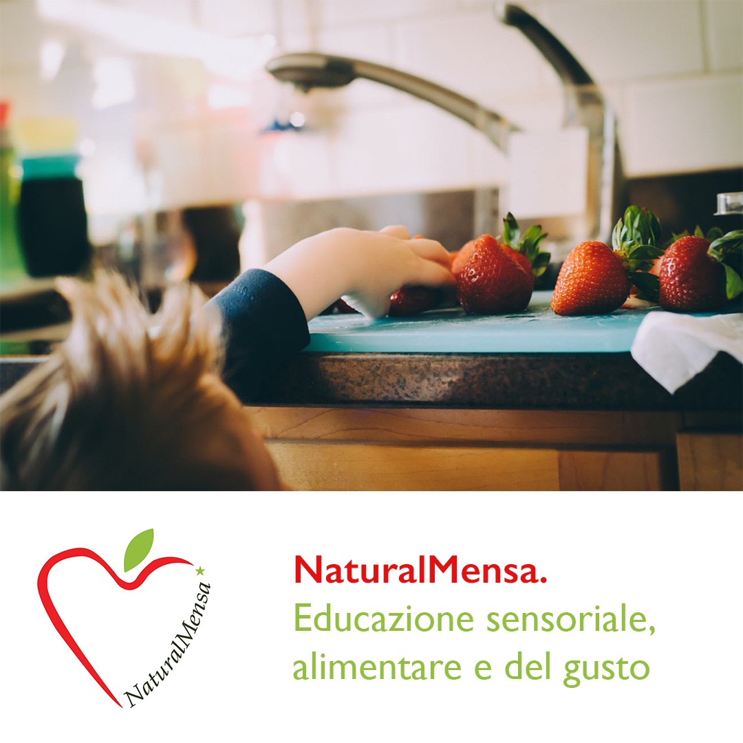 IMAGE 2020-02-28 10:16:15.jpg